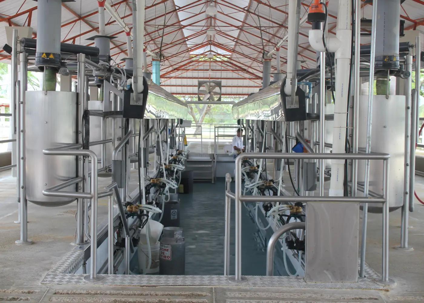 How to Store Fresh Milk for Longer Shelf Life